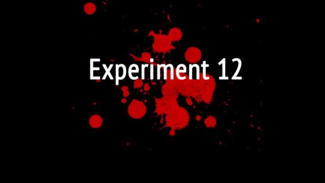 Experiment 12 – dwunastu niezależnych twórców opracowało wspólną grę