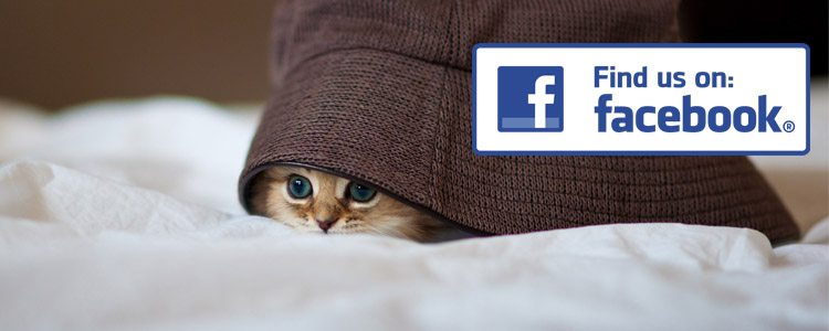 Już nie ukryjesz się na Facebooku, teraz znajdą Cię wszyscy
