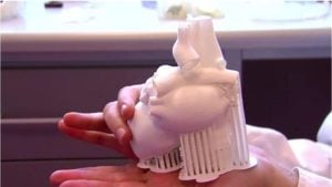 modele 3D serca