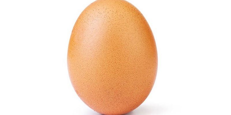 Jajko na Instagramie