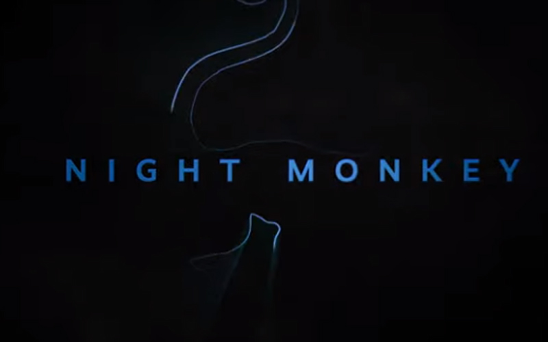 Zwiastun Night Monkey – Sony wie, jak robić ciekawe promocje